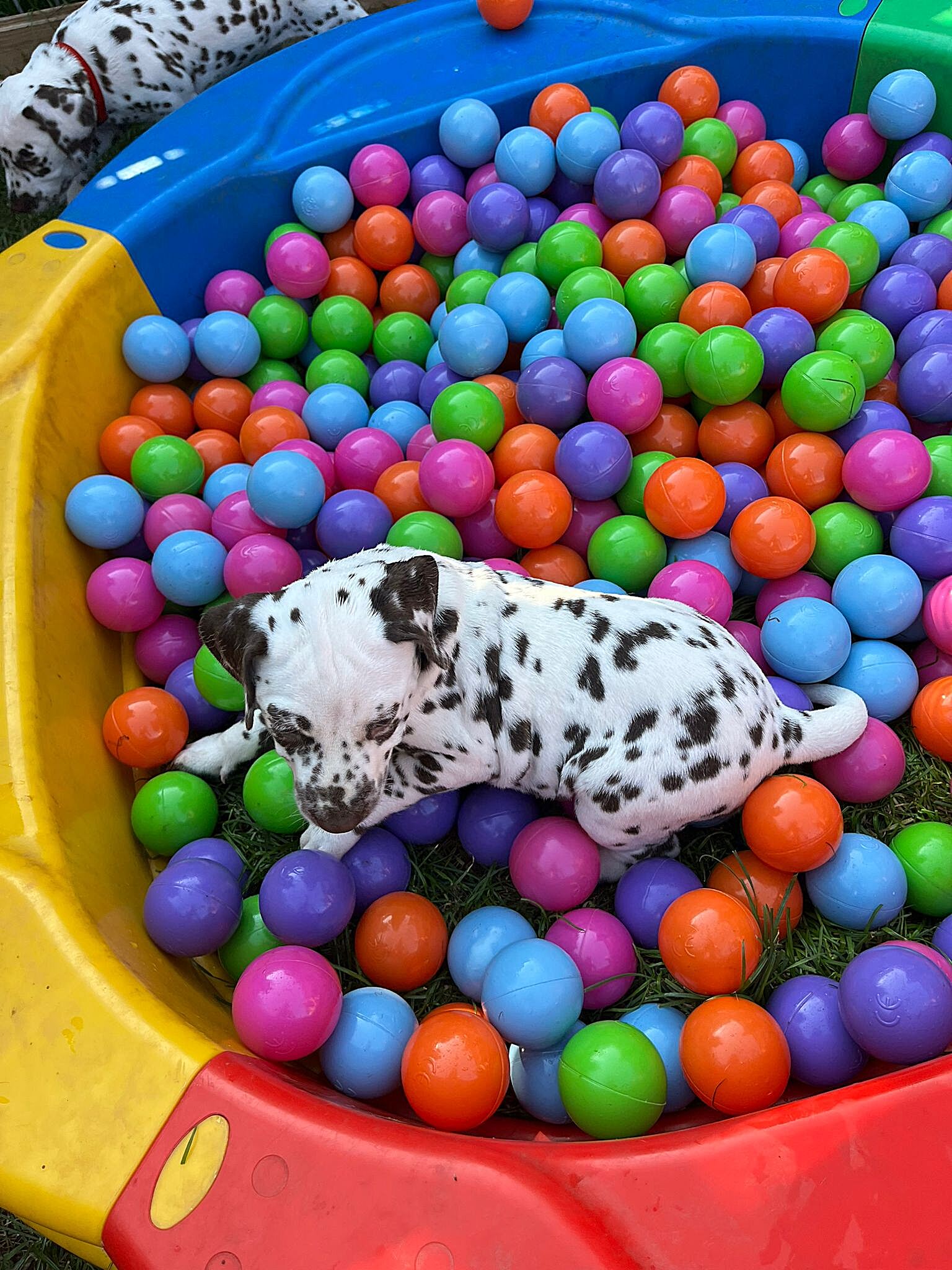 20240812_164500_95f9ae54-fff5-4a9b-b112-1408f4ba0847