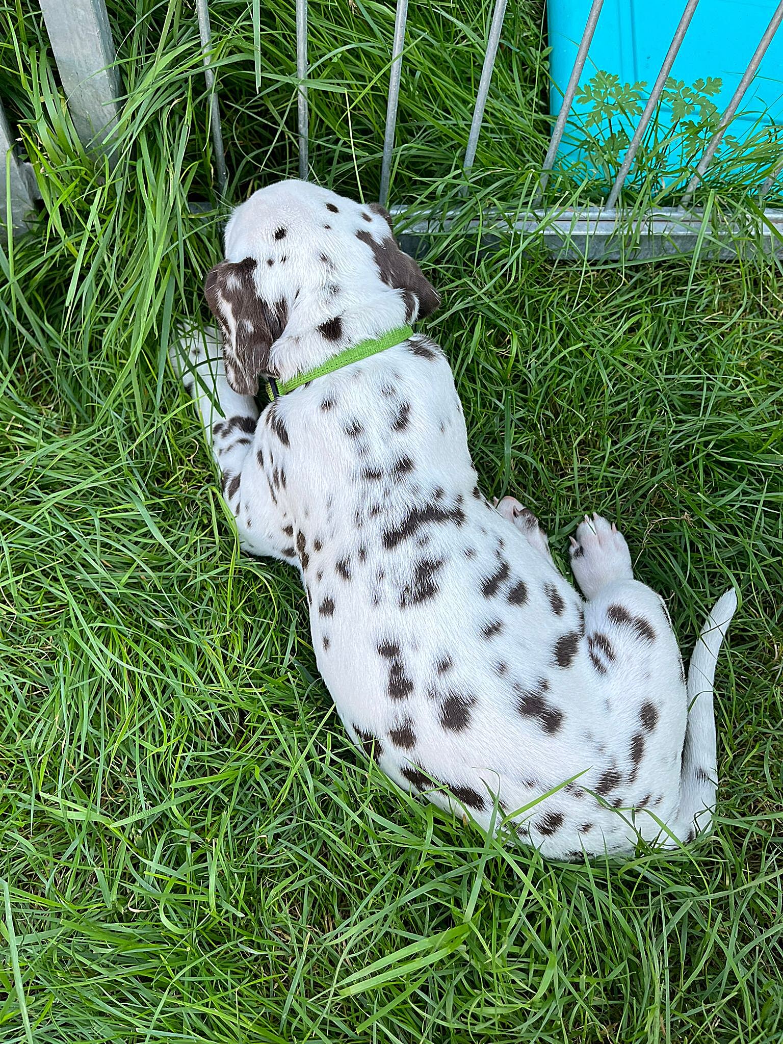 20240812_164500_5a101c3c-0f6e-4611-b4ce-0561b8d1f615