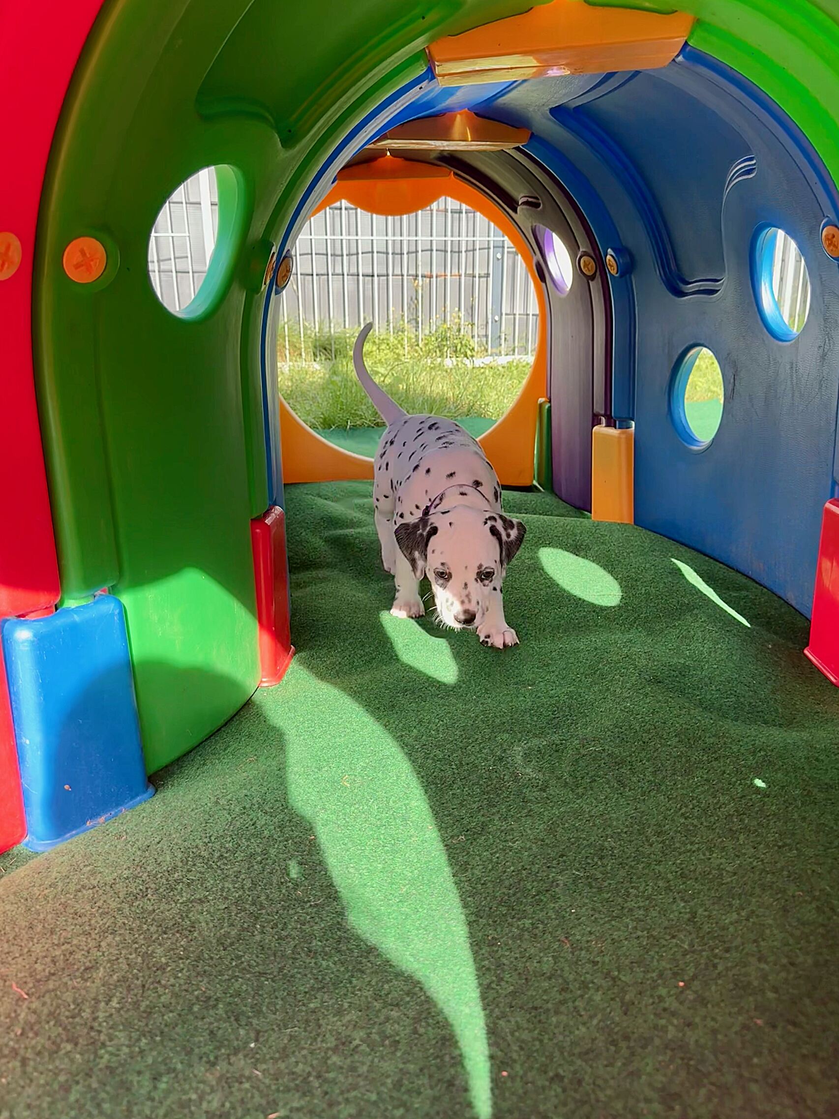 20240808_170000_image9