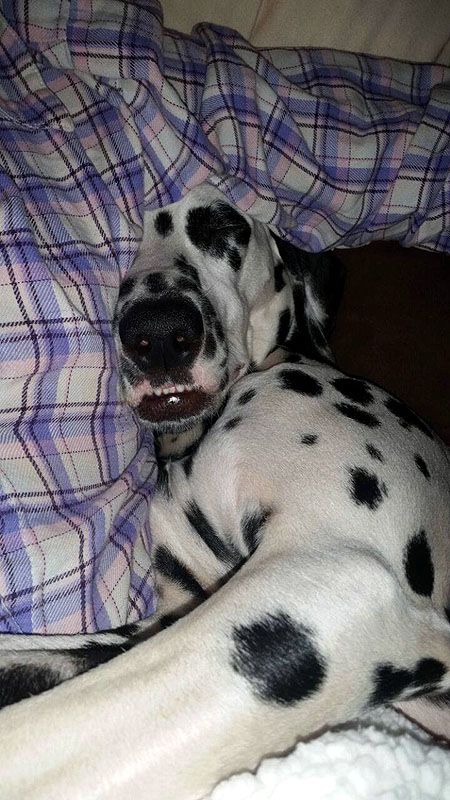 IMG_8804_20150302_11