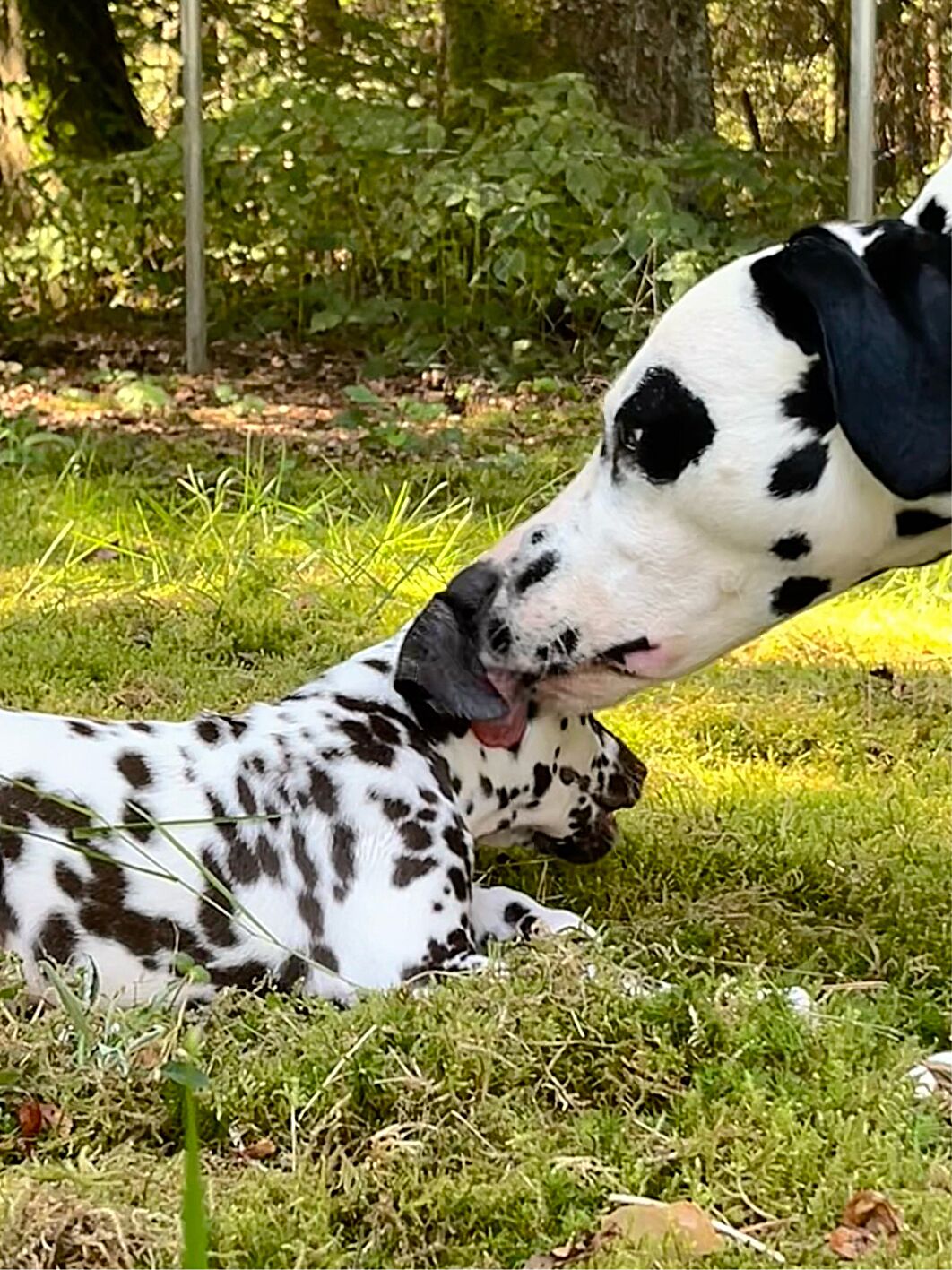 20240824_113016_IMG_8938