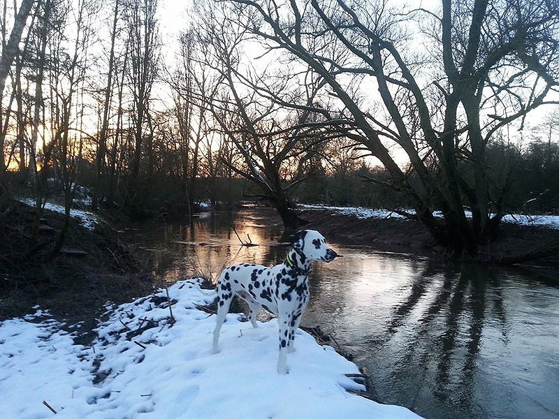 IMG_8804_20150302_01