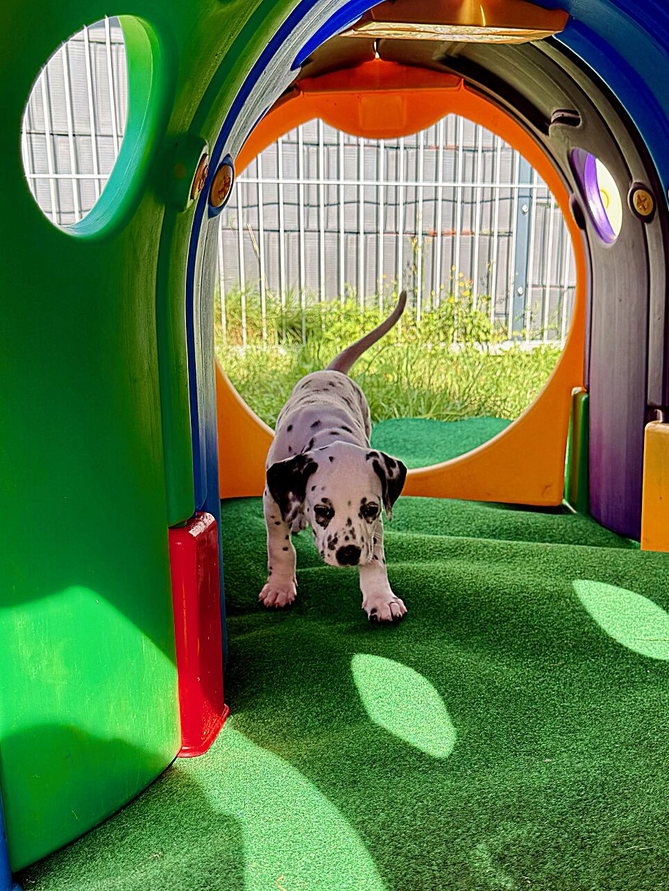 20240808_170000_image10