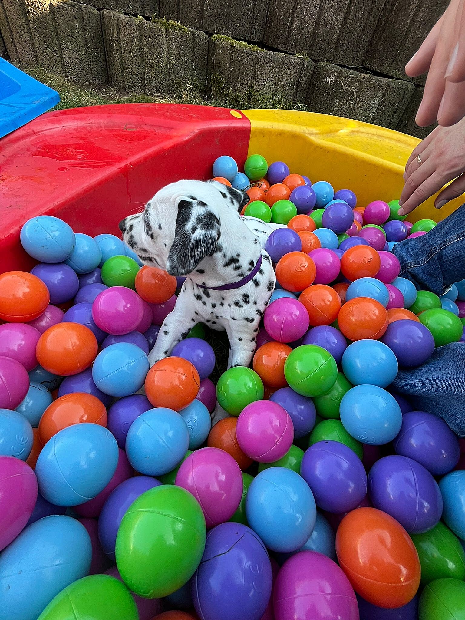 20240812_164500_56806b86-bbab-489b-9cad-2aad2782fc94