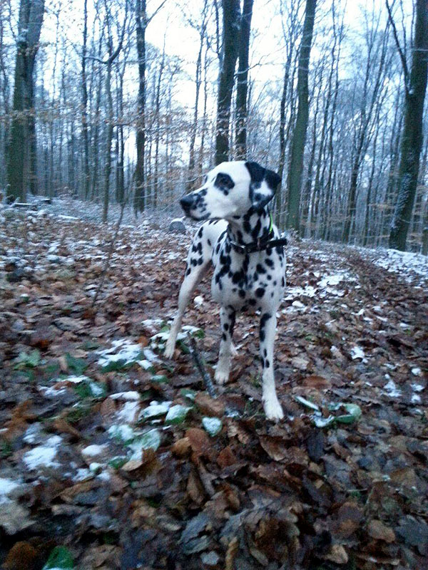 IMG_8804_20150302_09