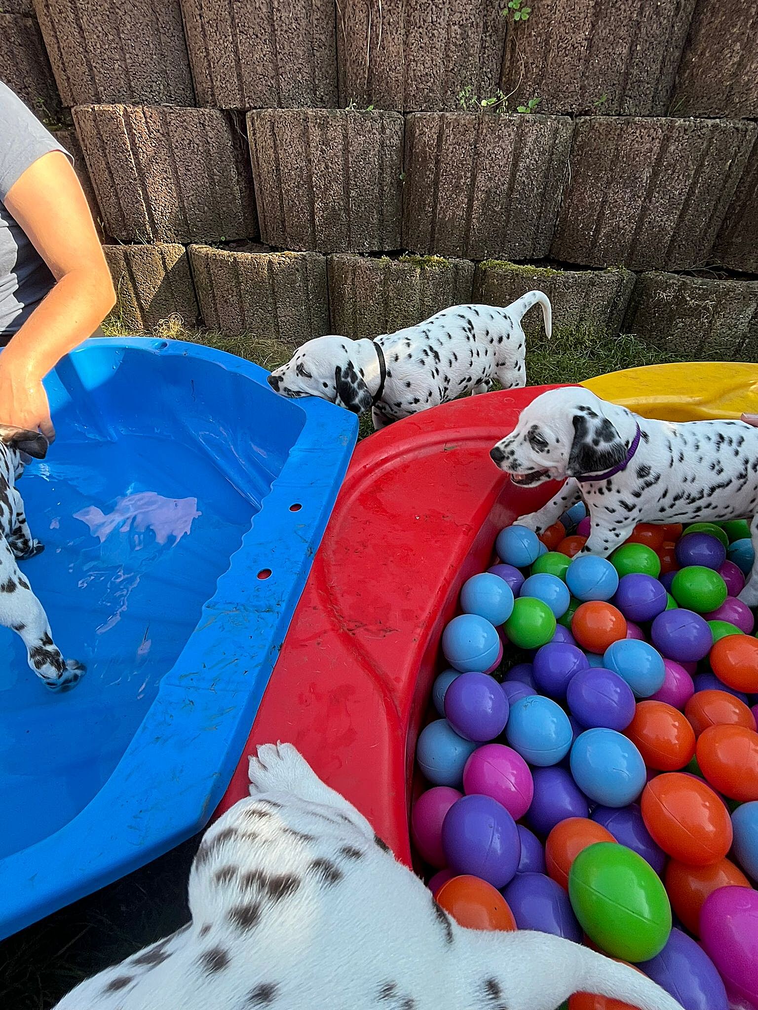 20240812_164500_8463f163-0f0f-44d9-bc7a-8dfd22cfc16d