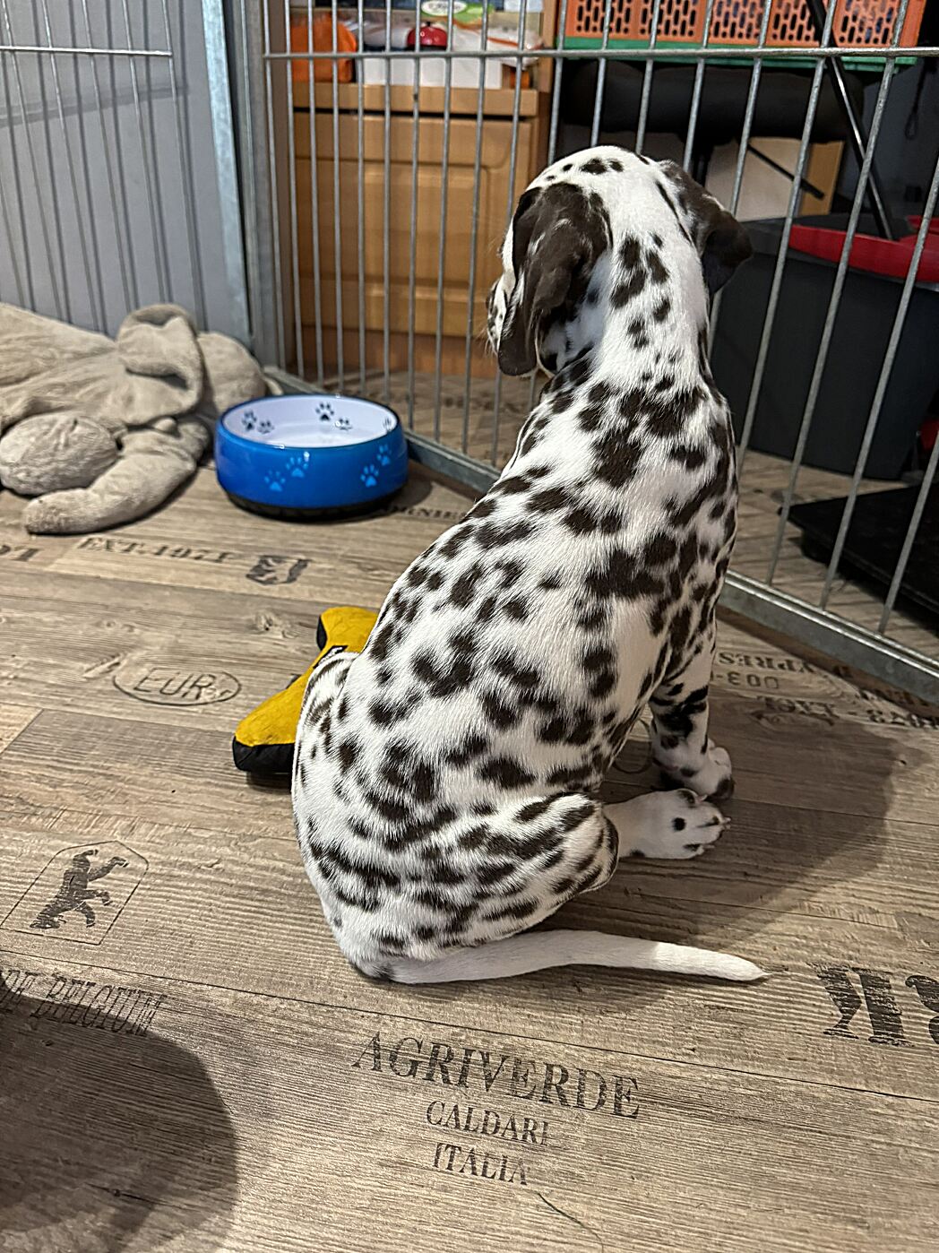 20240819_174238_IMG_1083