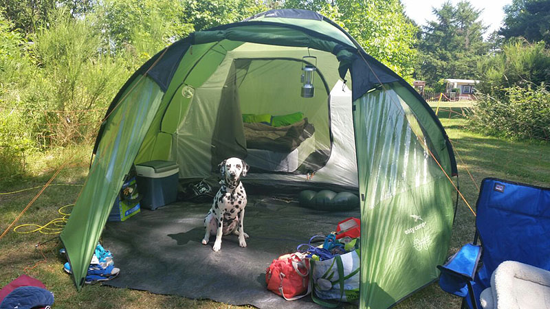 IMG_8804_20150302_40