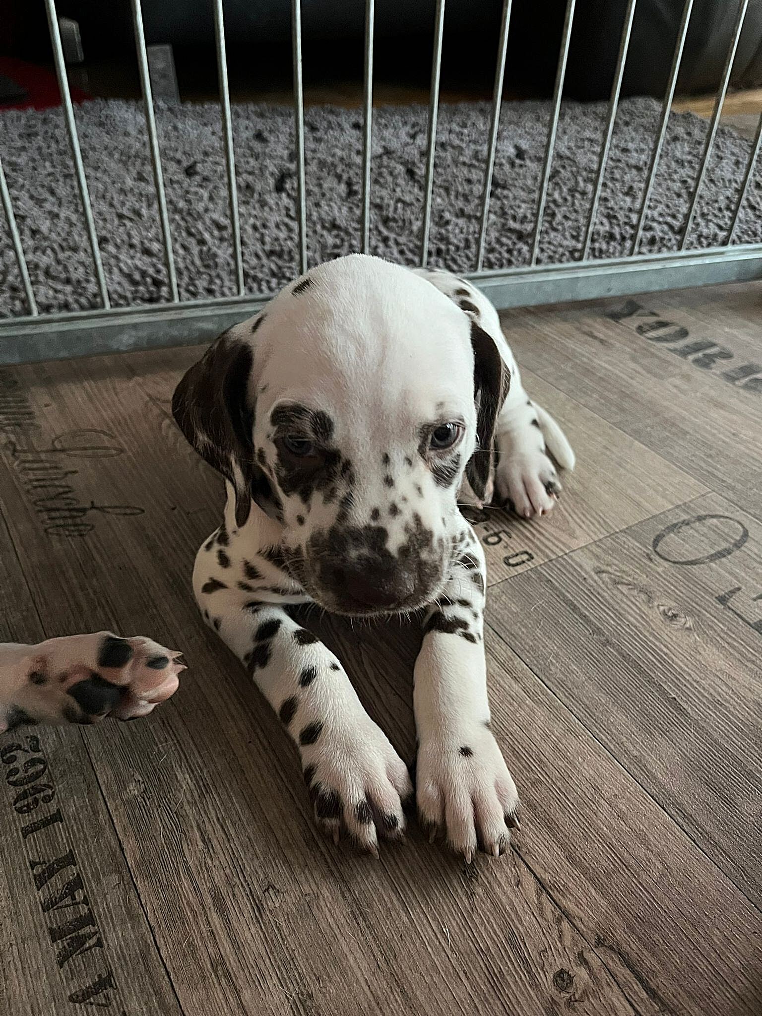 20240812_164500_386aa591-35b0-4b4f-81f0-d68a540b9f35