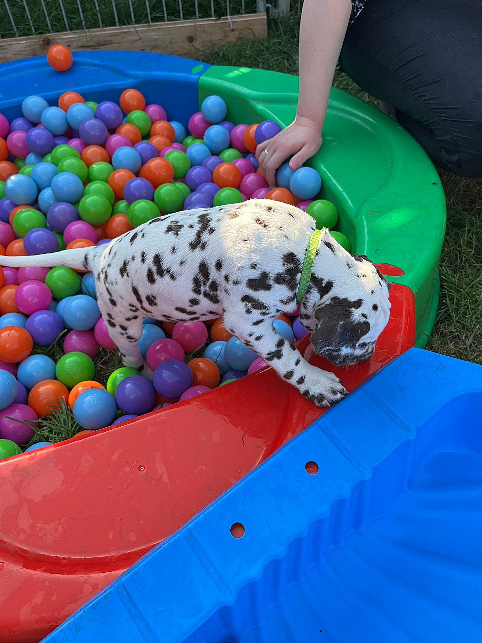 20240812_164500_0cfc6158-a726-40b0-b229-86f449af8882