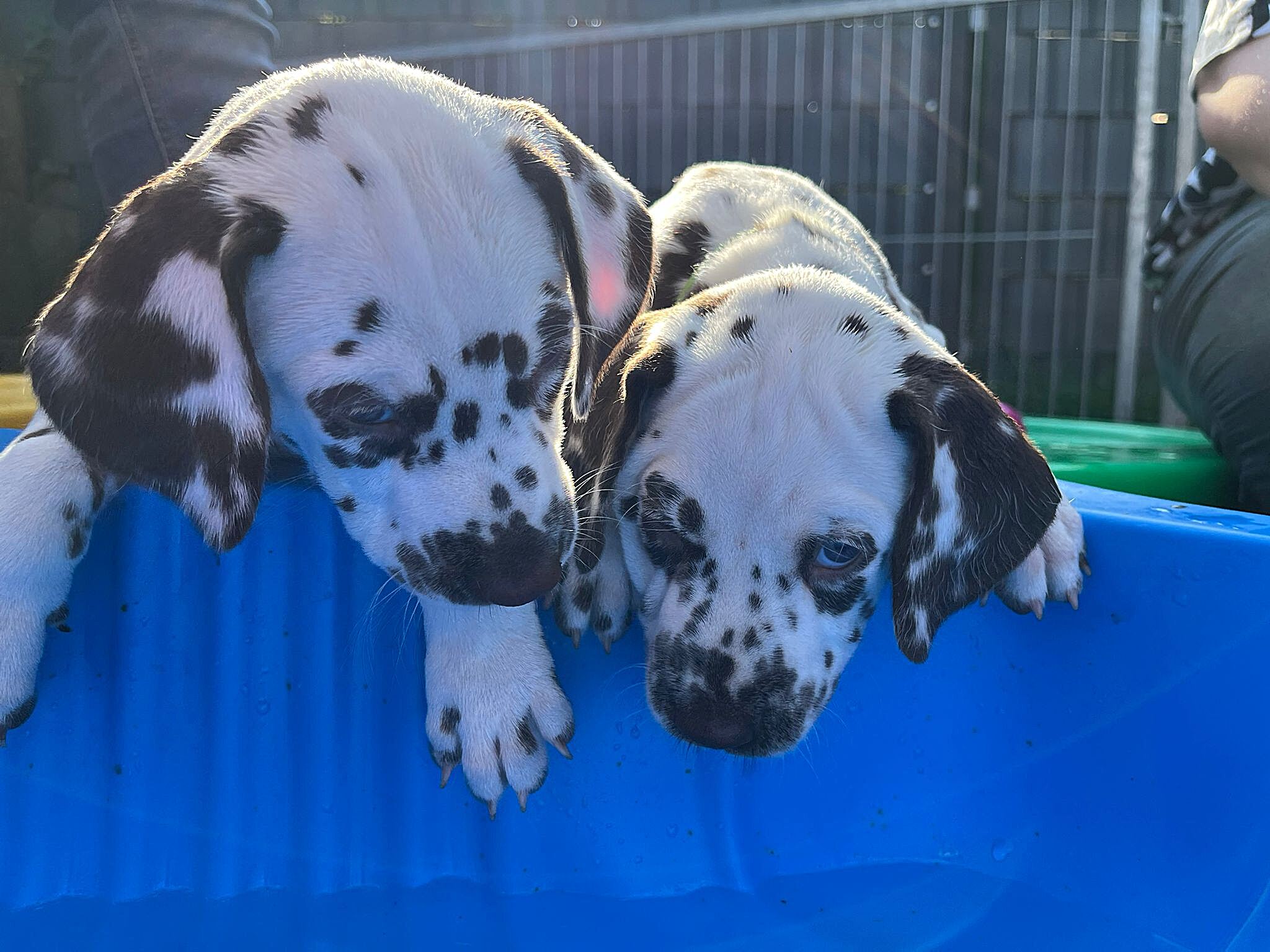 20240812_164500_3848fdb1-b473-4993-9319-22d1850a9762