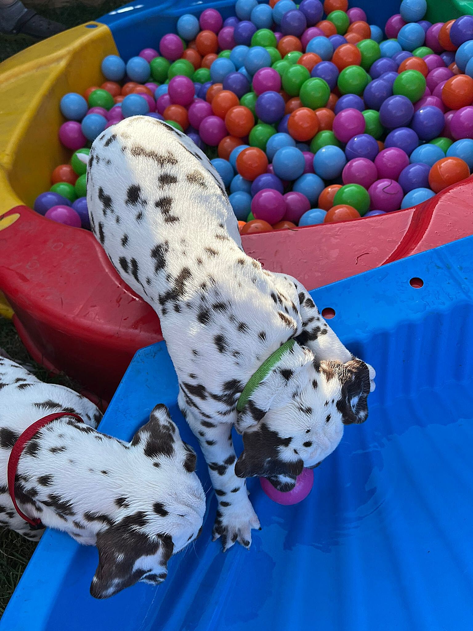 20240812_164500_294b4867-e83b-4787-9648-cea2176170fc