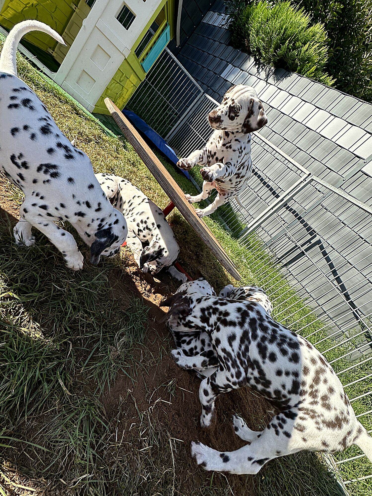 20240826_115228_IMG_9932