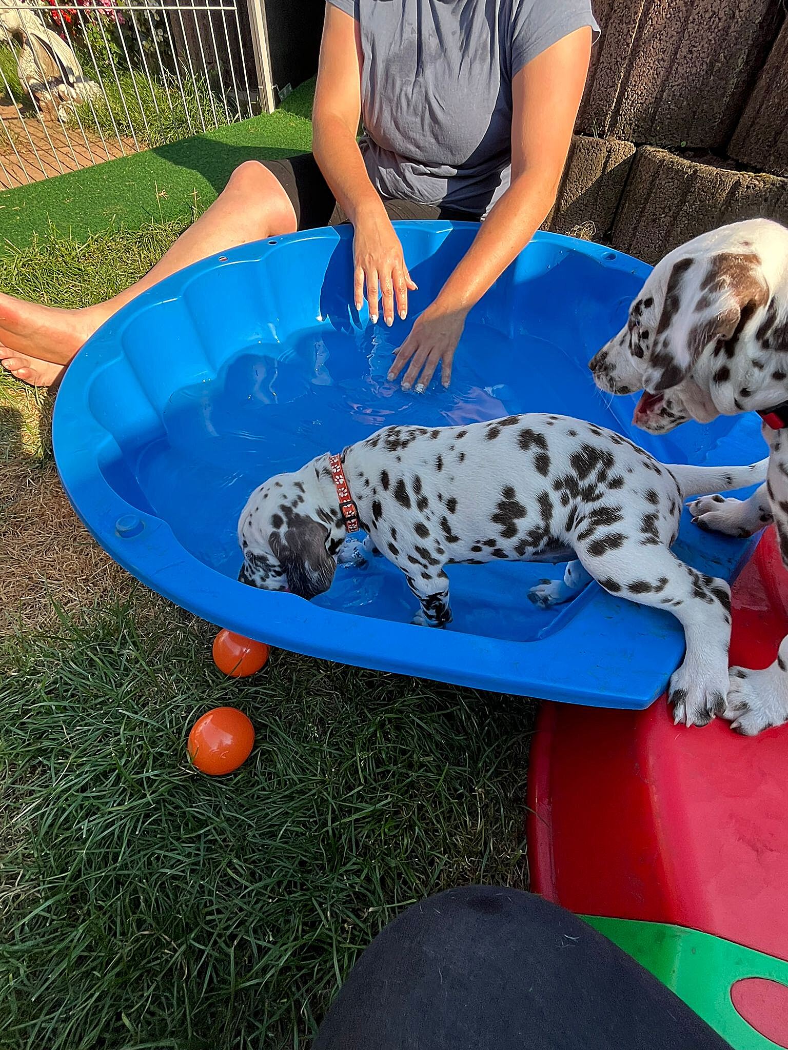 20240812_164500_dafbc415-c263-4111-afdf-8995a93ce790