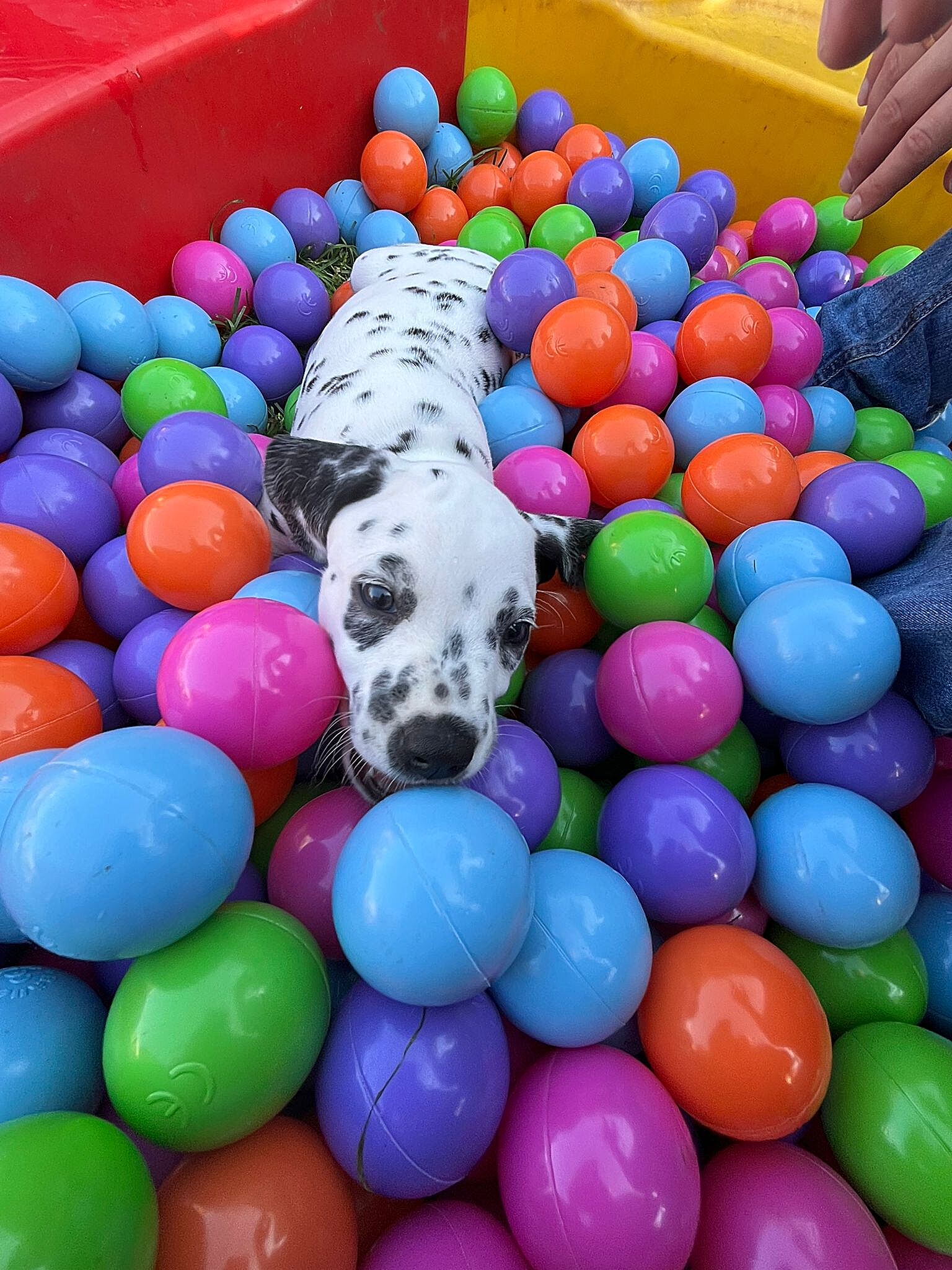 20240812_164500_071c2cd1-671a-4d60-9483-41c8f8a1b819