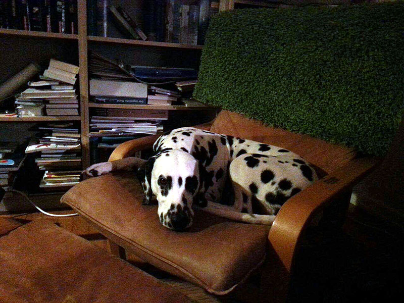 IMG_8804_20150302_12