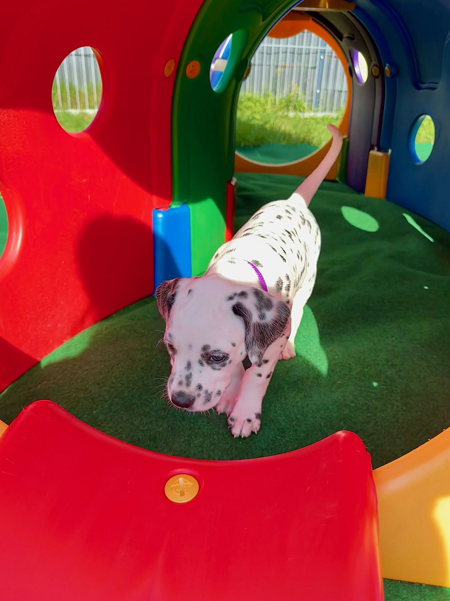 20240808_170000_image8