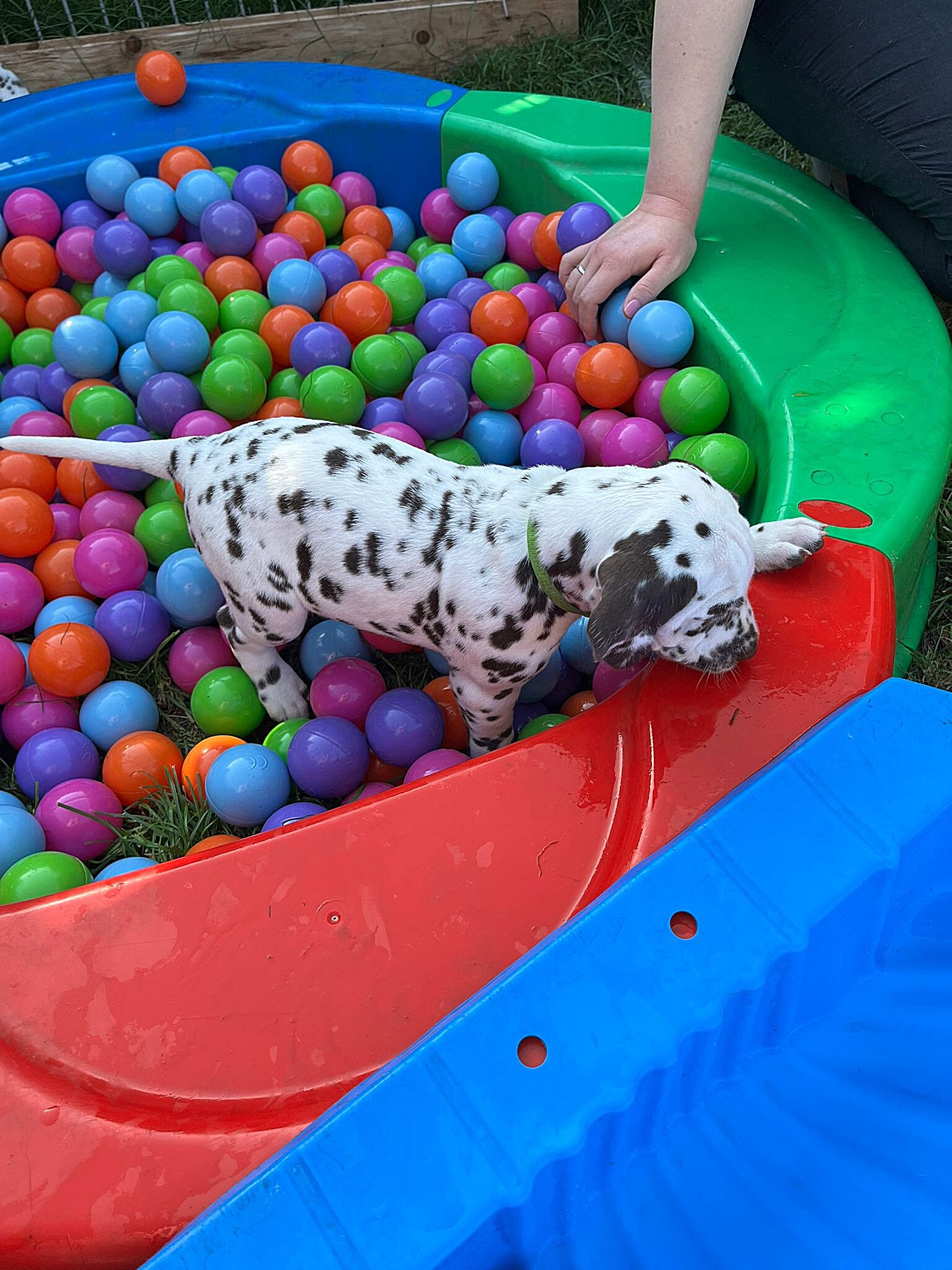 20240812_164500_38e15686-82f6-4f20-9ff5-bdb9a5713290