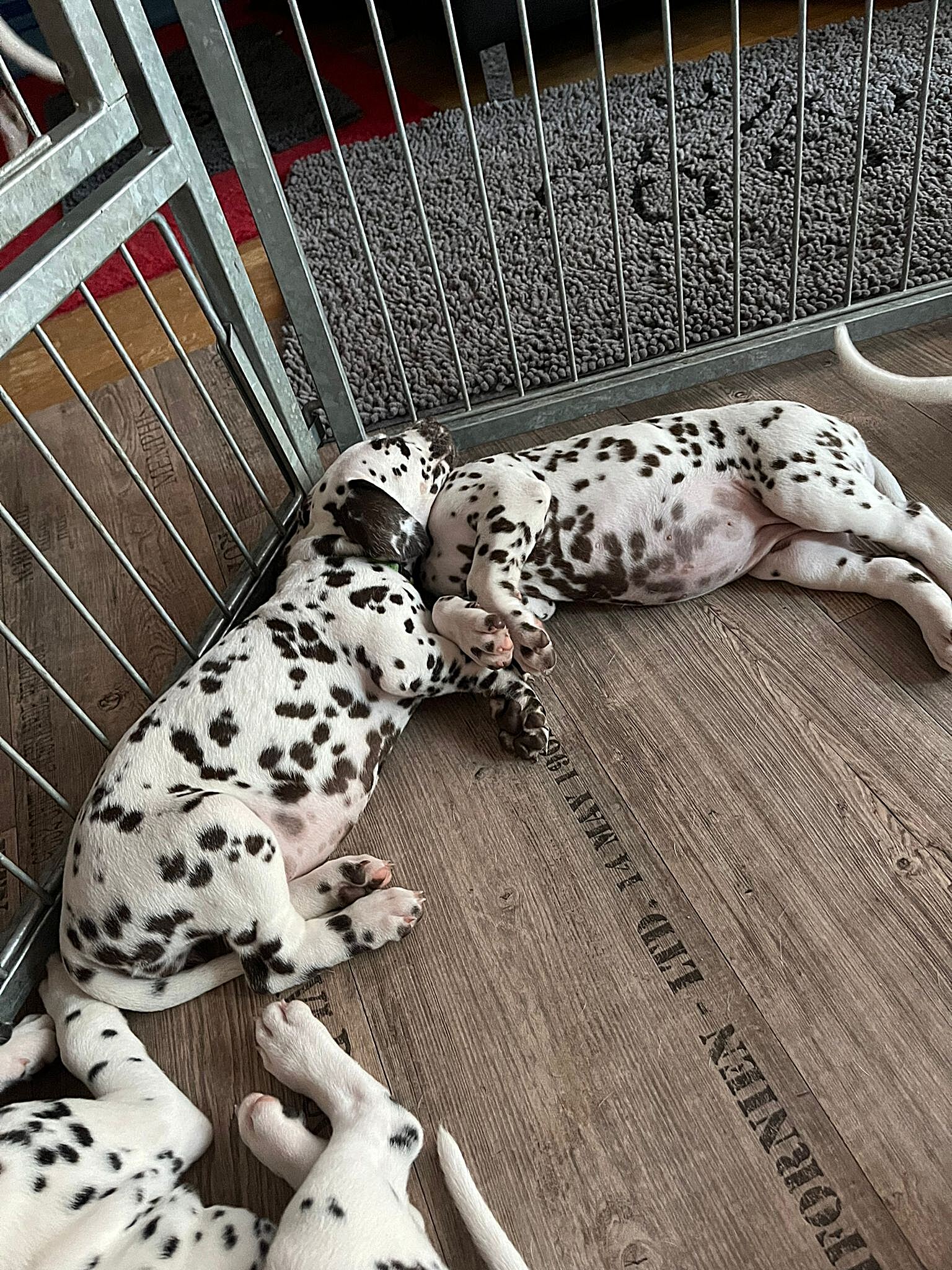 20240812_164500_9ae4bdef-cfdc-4040-92d9-af794297cc80