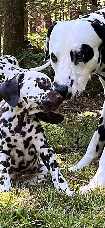 20240824_113016_IMG_8946