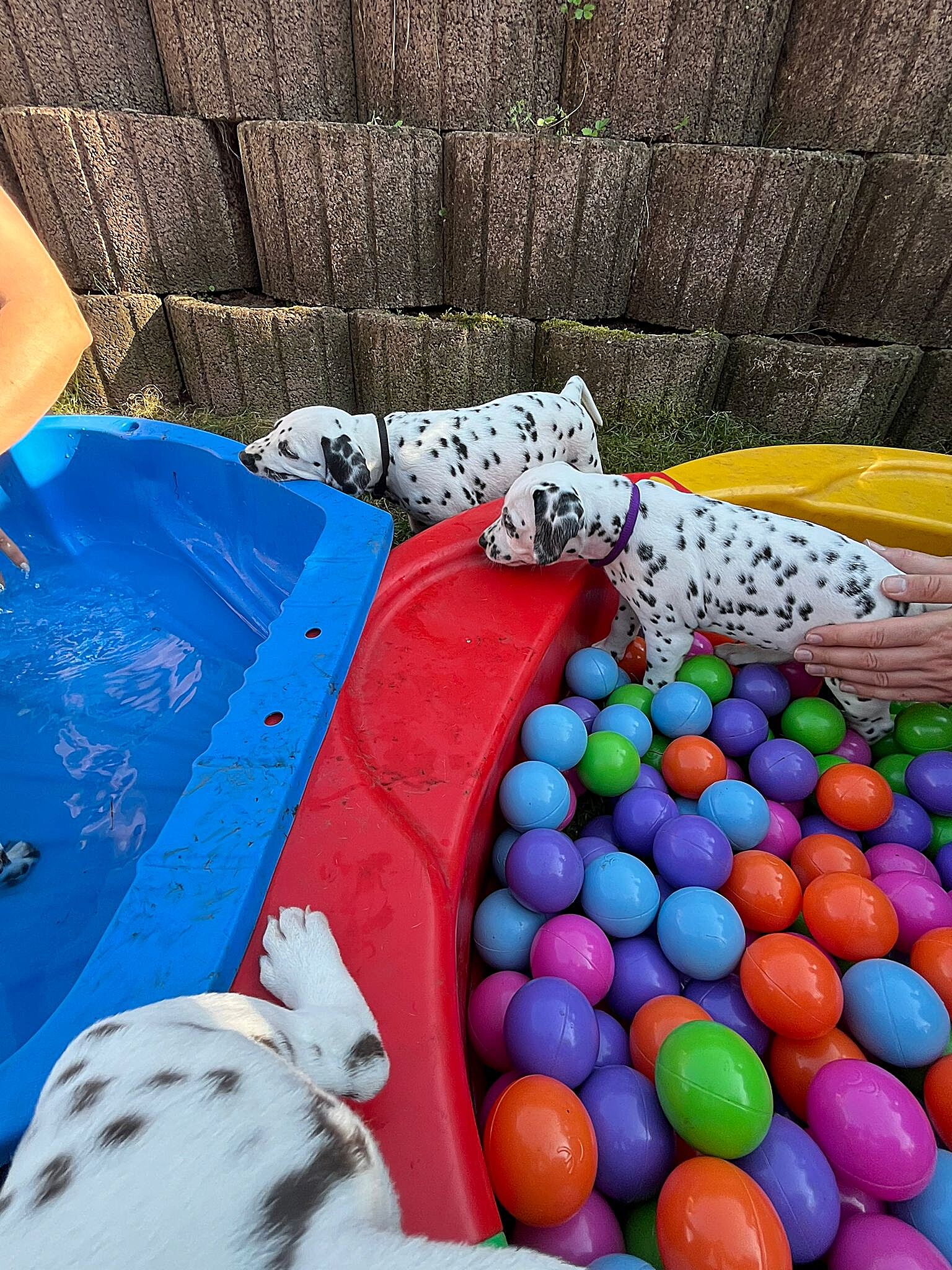 20240812_164500_4631ed49-8c60-4ac0-a505-e4cf013f6339