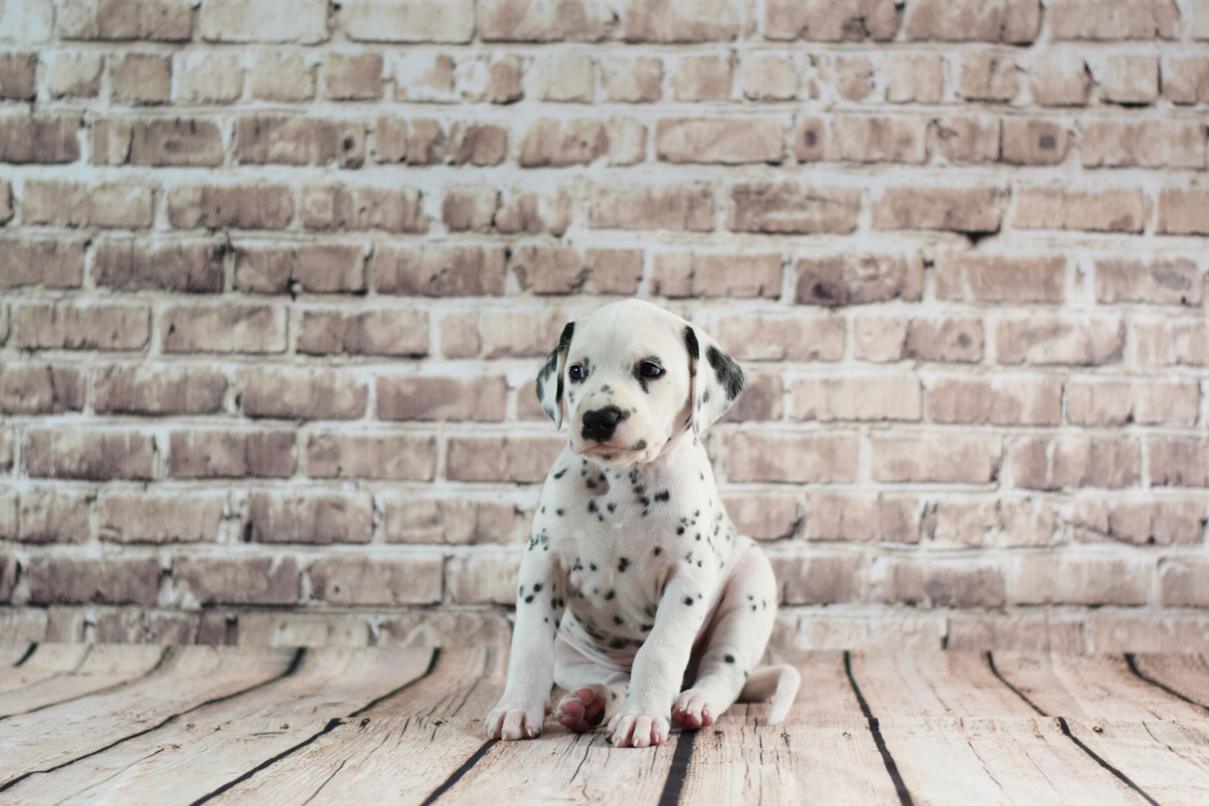 2021_04_27_62_Orange