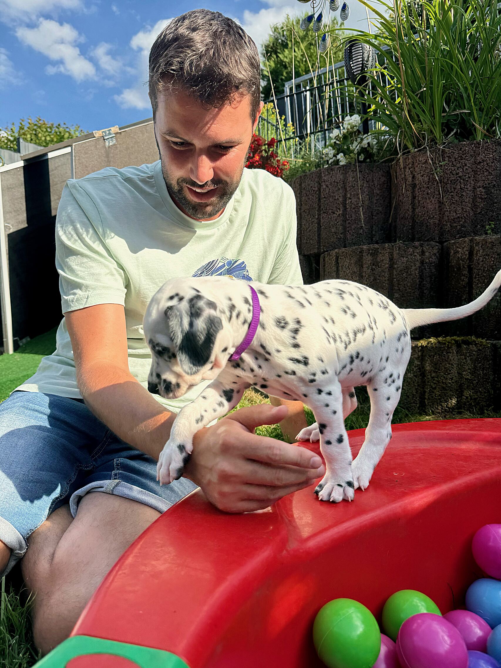 20240808_170000_image26