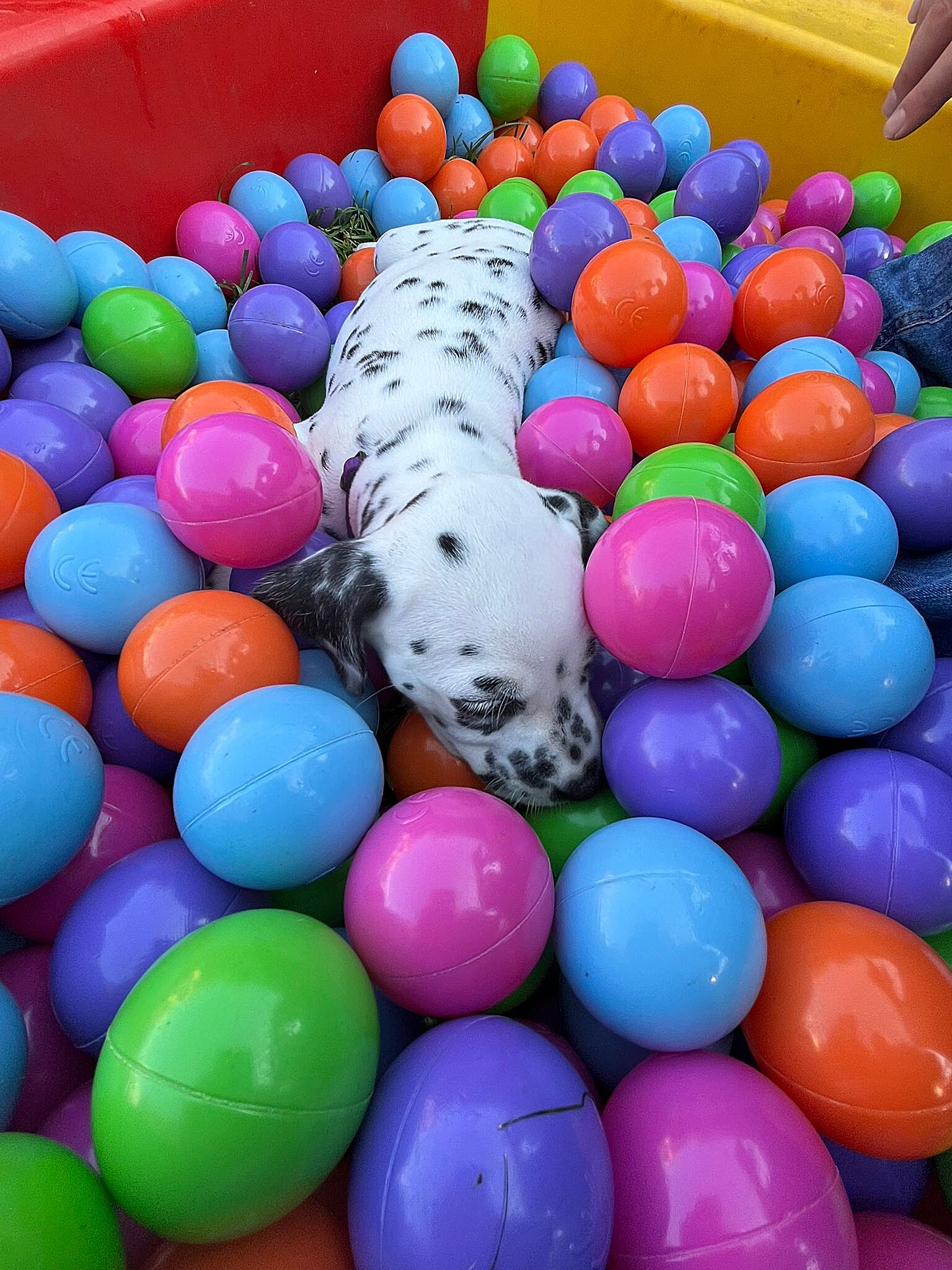 20240812_164500_e81a2385-ae9c-4c7c-a358-dba42089fcd2