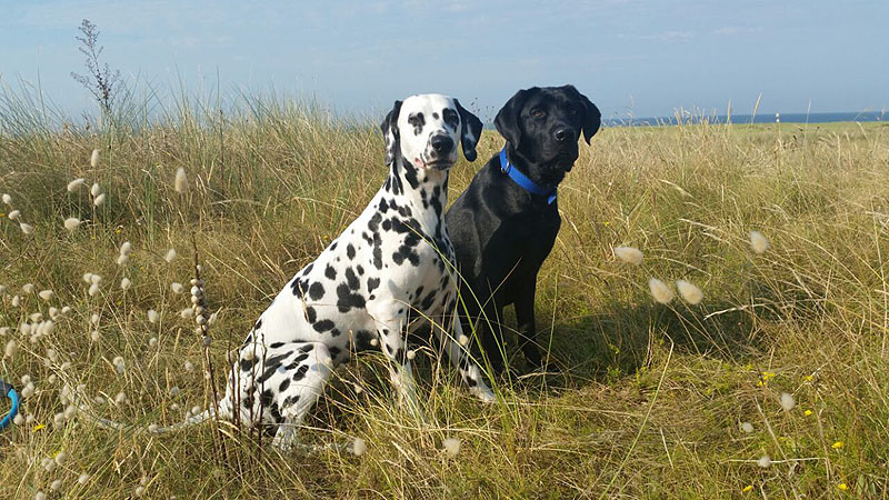 IMG_8804_20150302_35