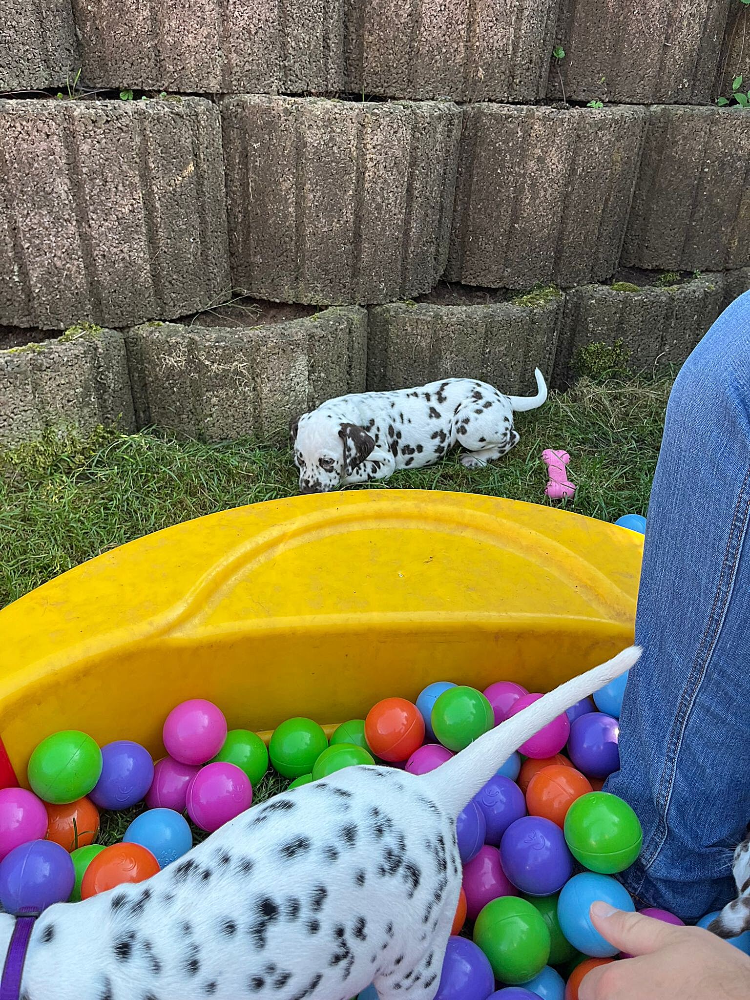 20240812_164500_328317b5-78b1-43f6-abc9-e7a29e787536