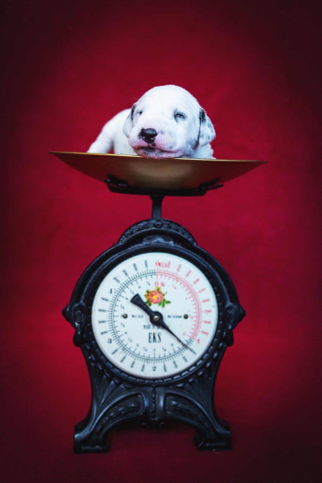 2019_04_19_03_orange