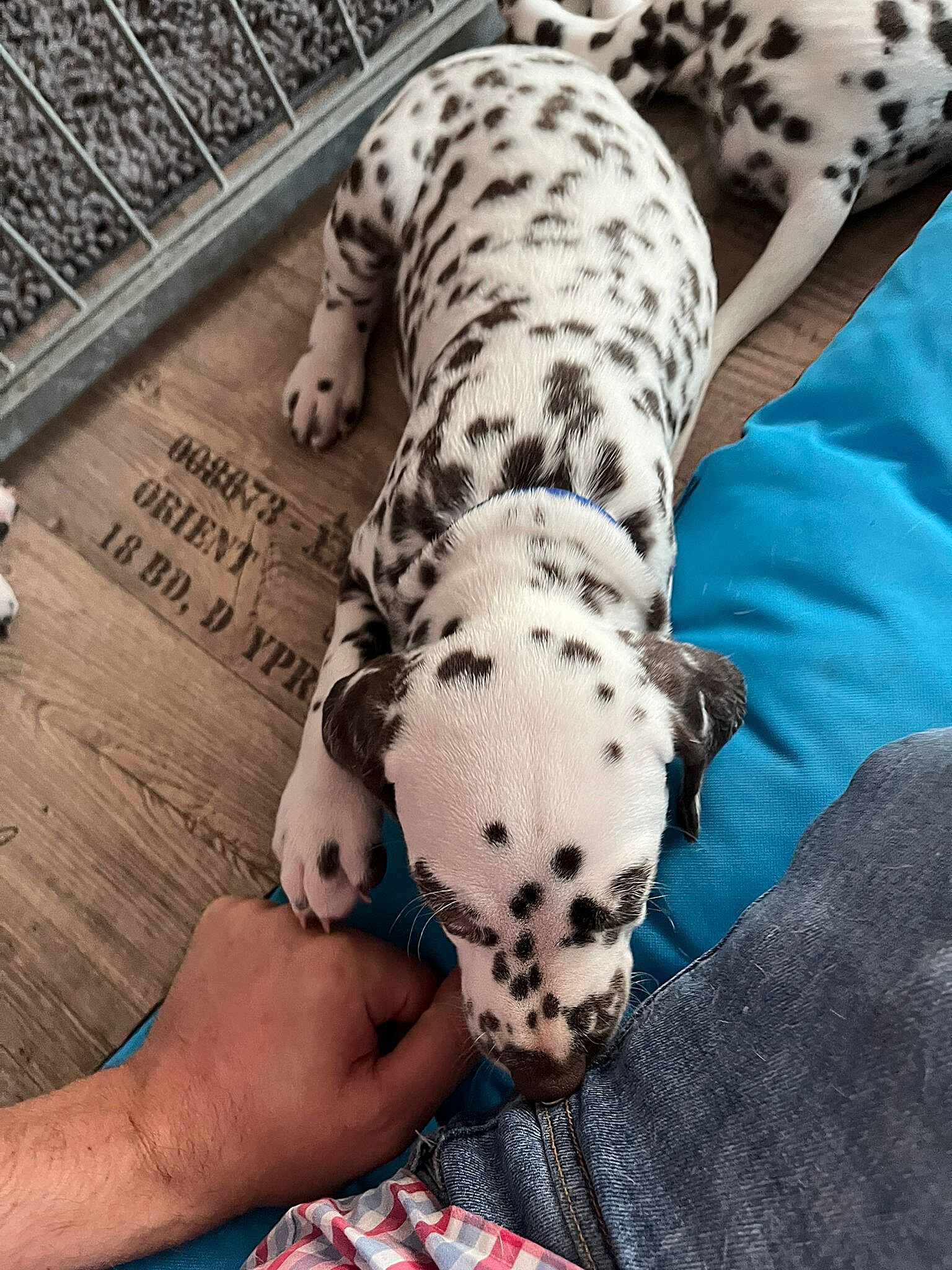 20240812_164500_1a901627-8ad3-4a78-9a2f-2f347fd876d2