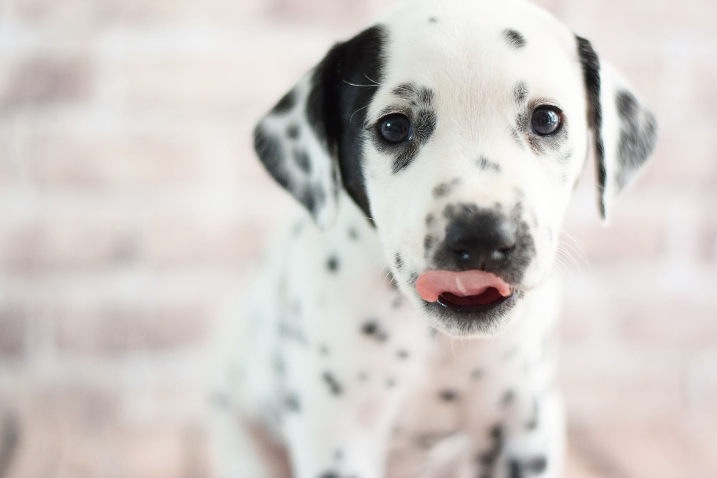 2021_04_27_57_Lightning