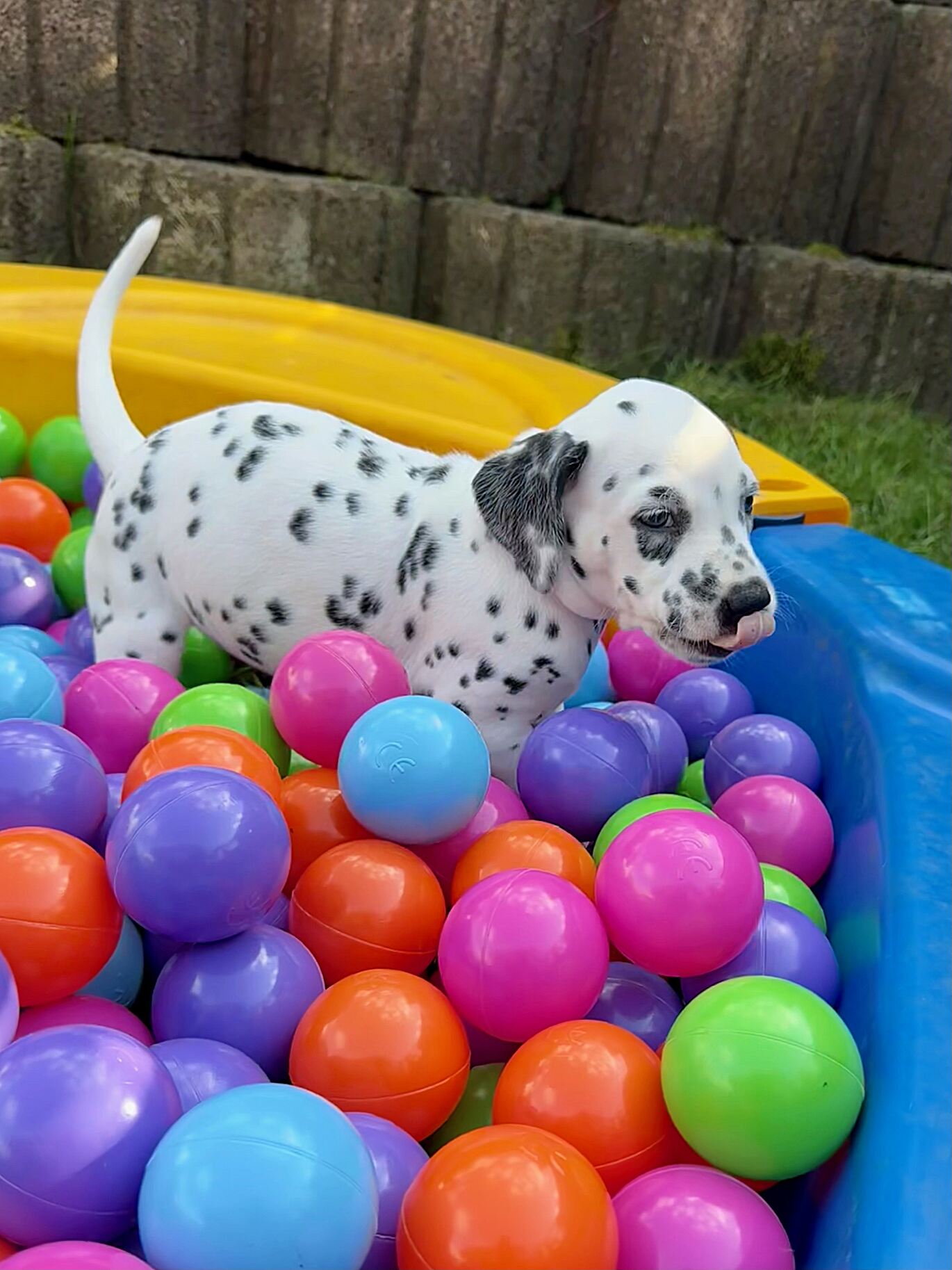 20240808_170000_image25