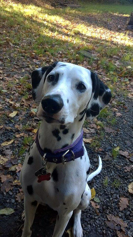 IMG_8859_200150402_3