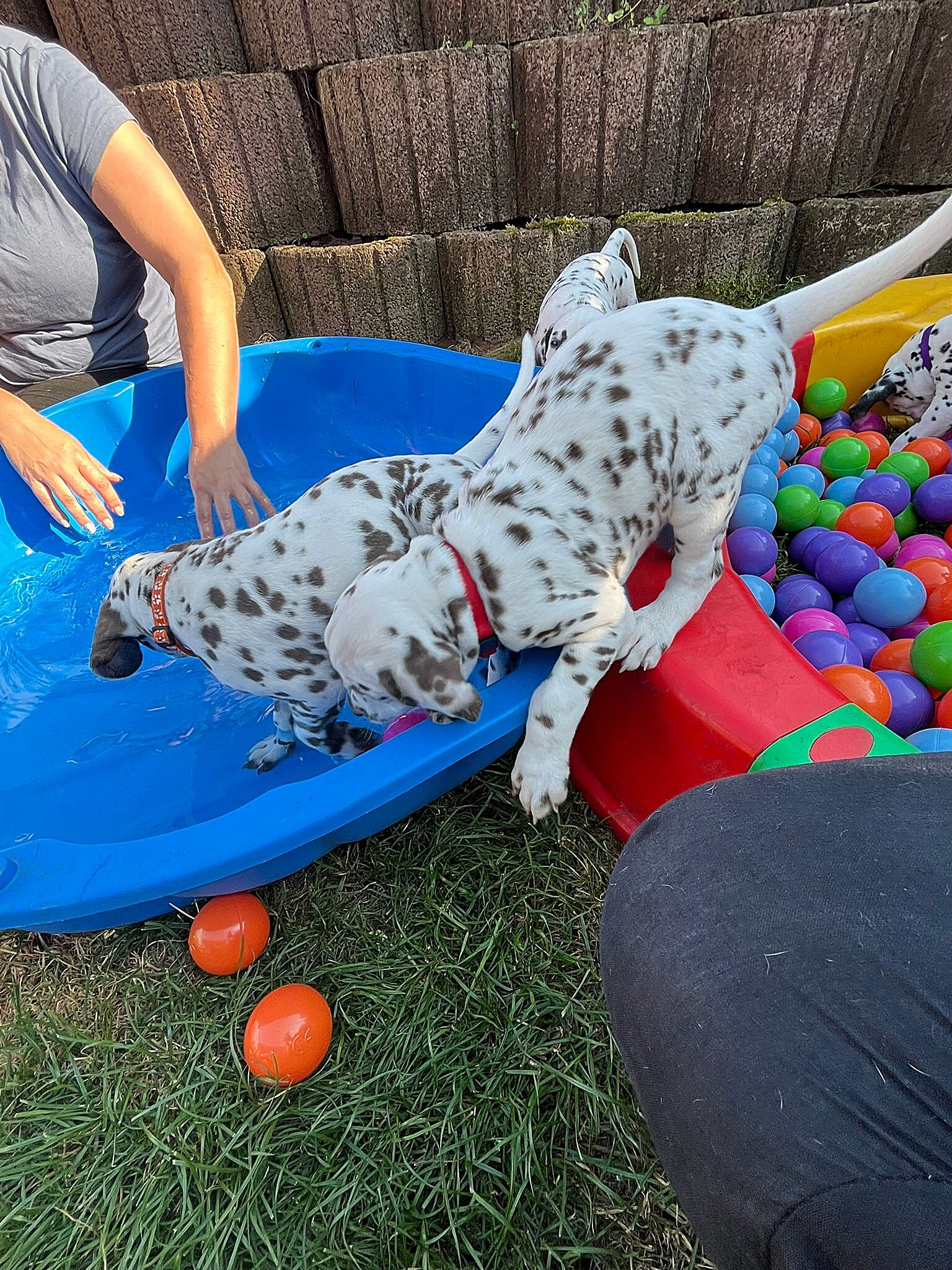 20240812_164500_447498e2-0c6f-4e33-a1e1-db1c9fde9dea