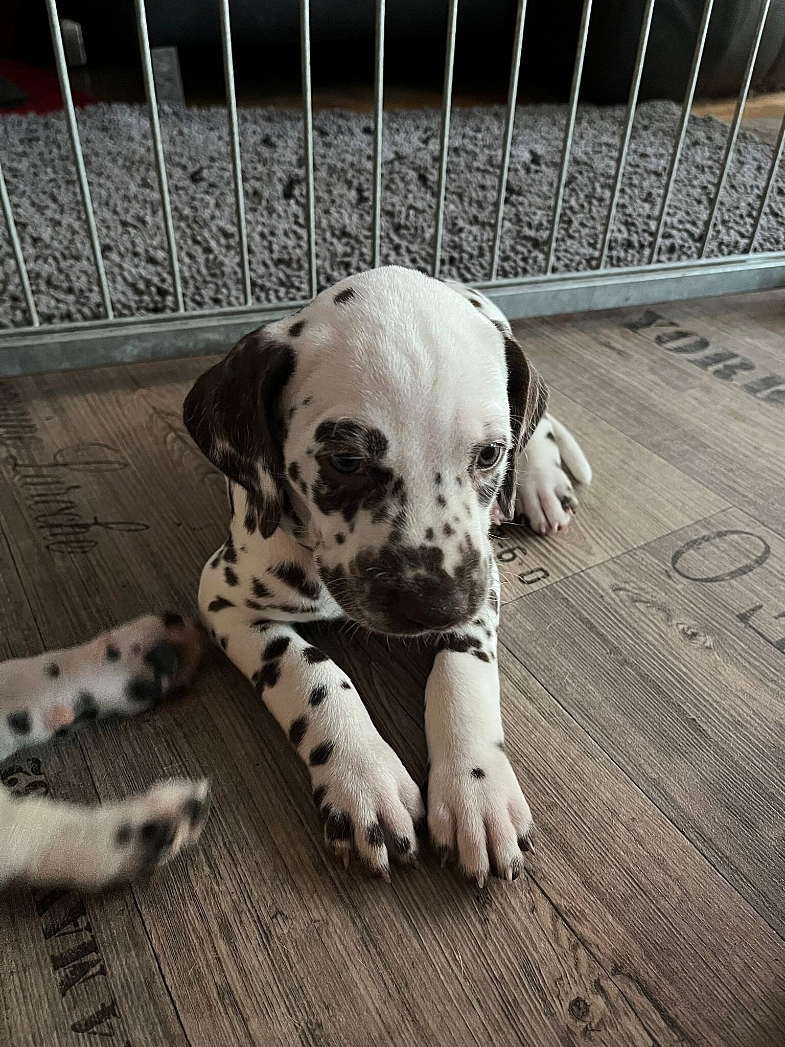 20240812_164500_062a010a-b6e7-45b7-a1b2-c3352e670147