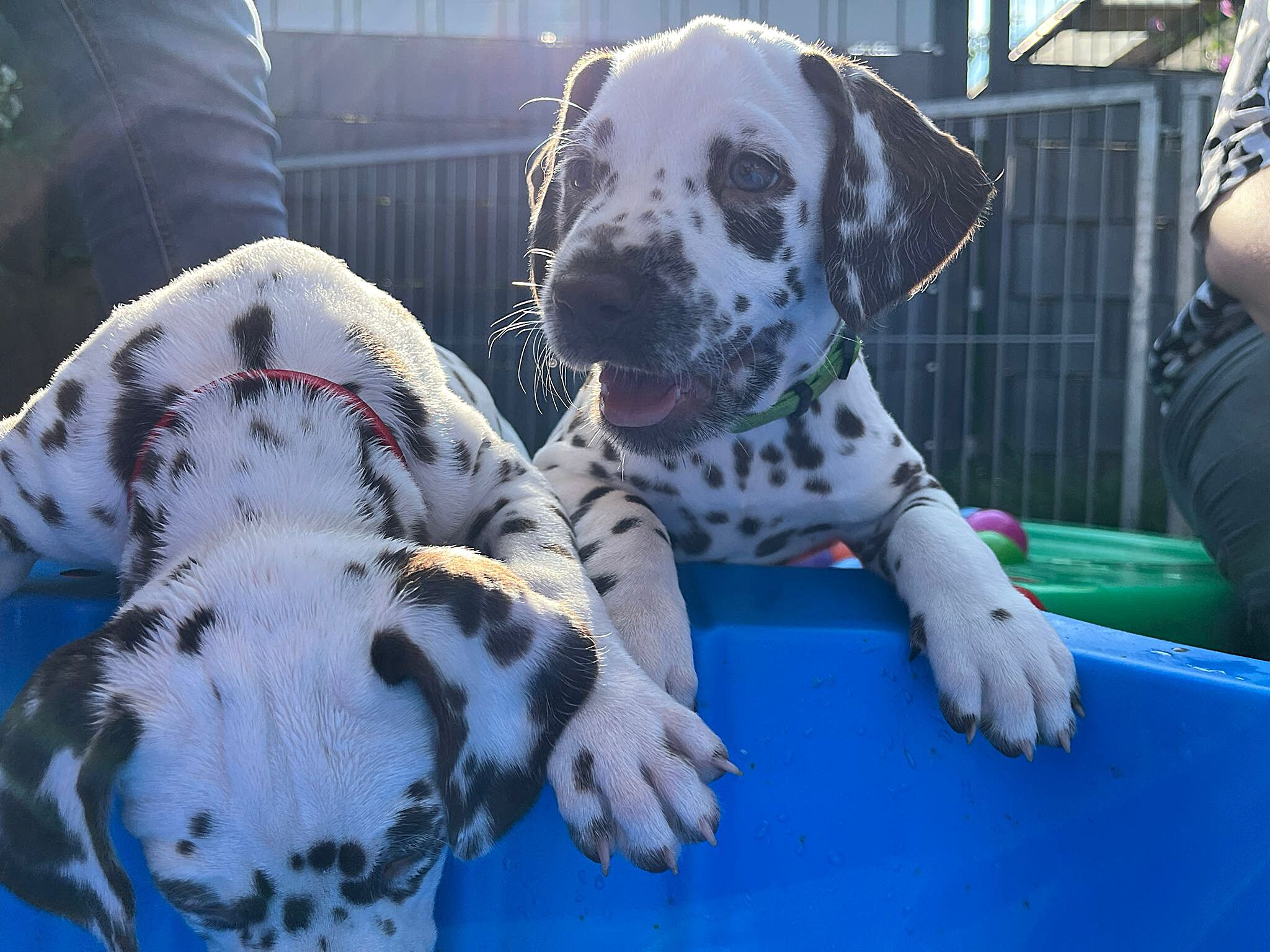 20240812_164500_74fbec85-09c6-4a18-a239-99edc879dfe2