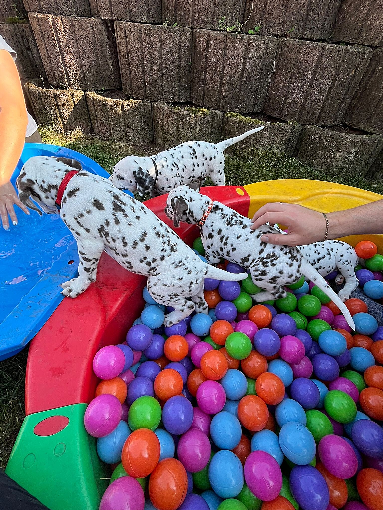 20240812_164500_7863d7c4-920e-43e9-aa6f-f7e6bb3ed30f