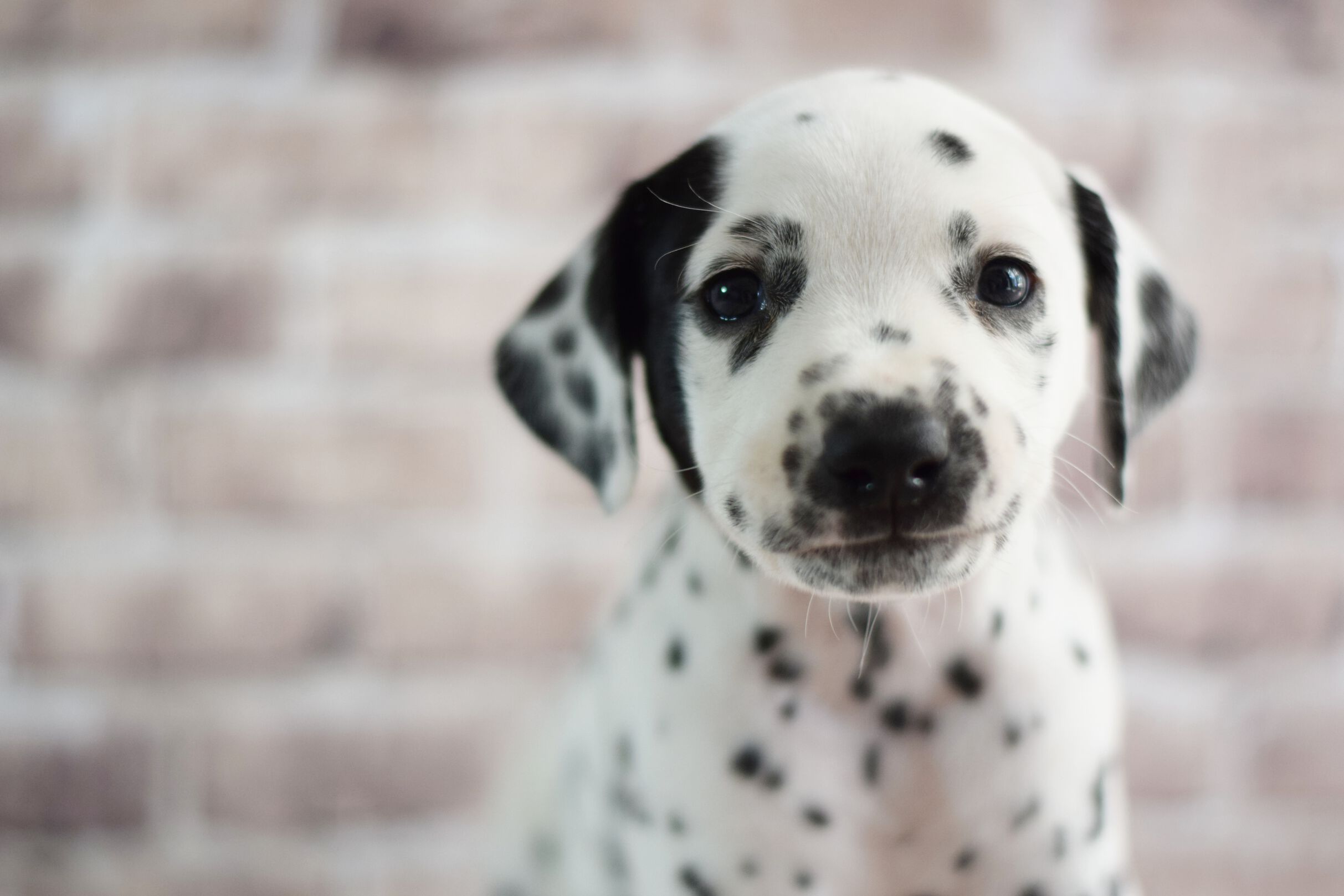 2021_04_27_59_Lightning