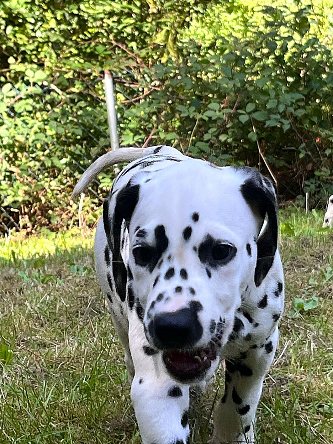 20240824_113016_IMG_8919