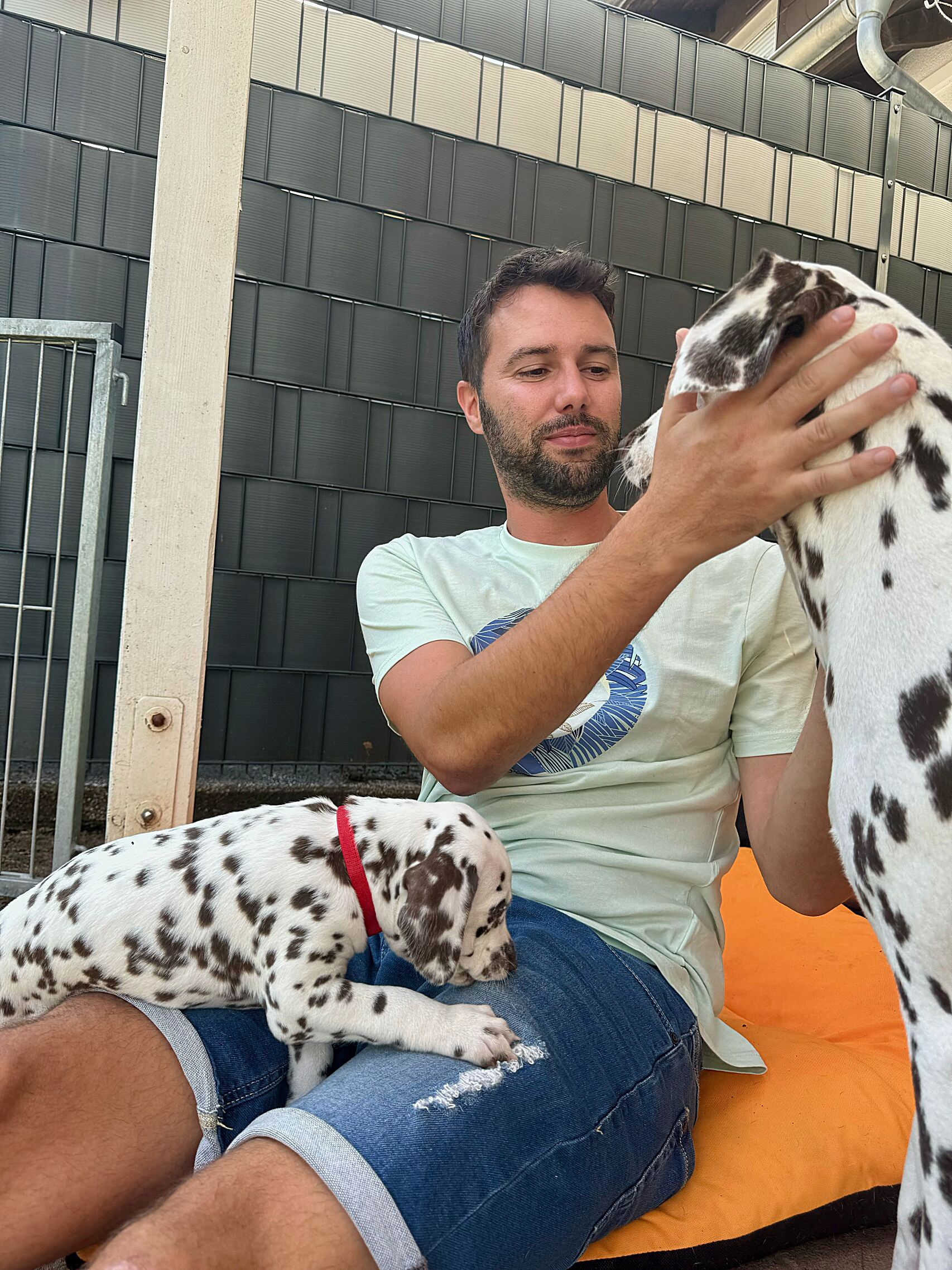 20240808_170000_image34