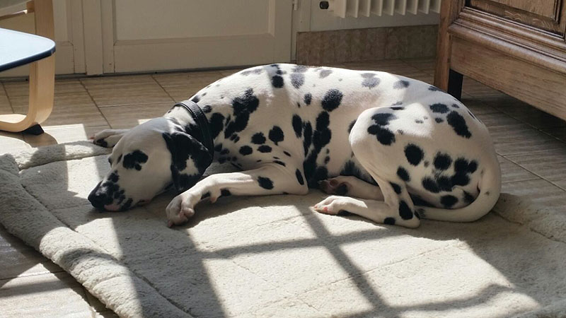 IMG_8804_20150302_28