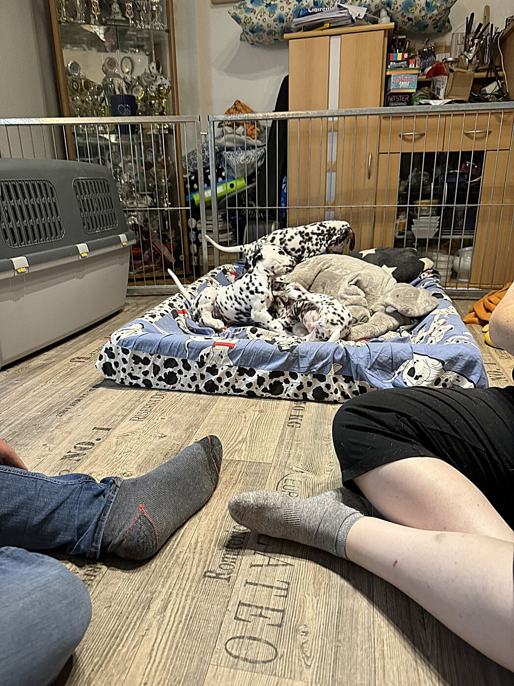 20240819_174238_IMG_1079