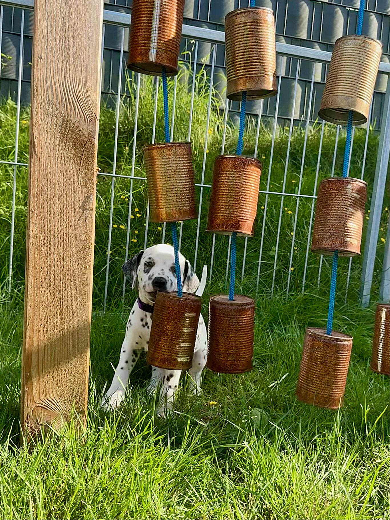 20240808_170000_image0