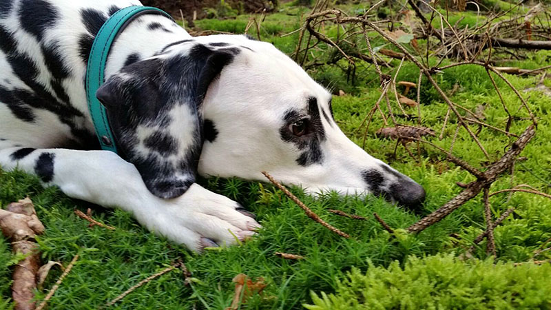 IMG_8804_20150302_14