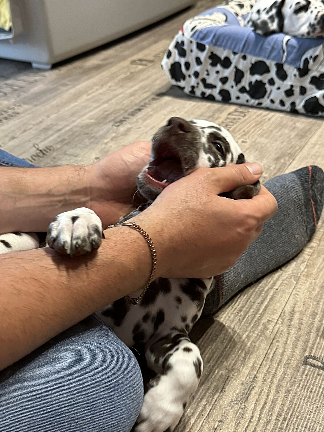 20240819_174238_IMG_1085