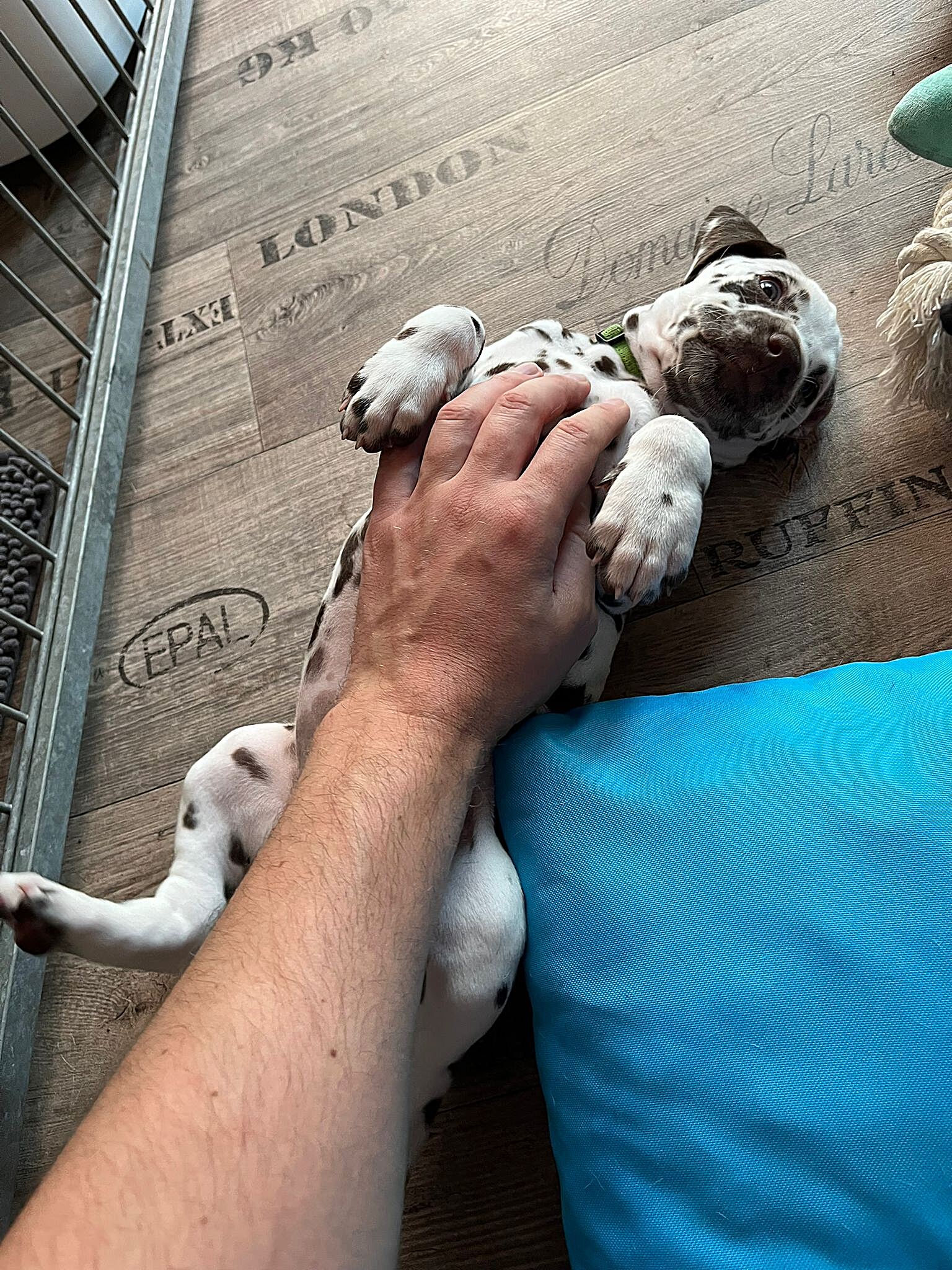 20240812_164500_d0d14a74-8141-443f-82ca-70e14048dc53