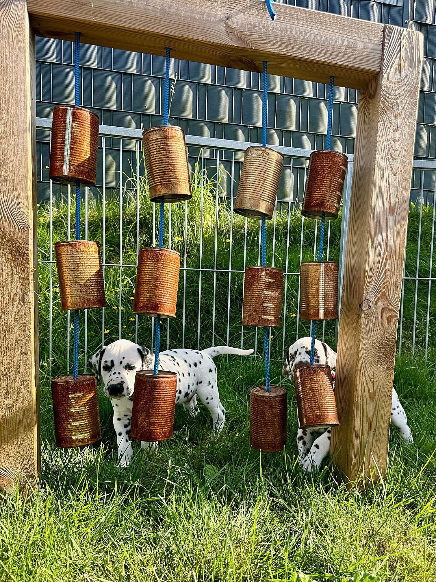 20240808_170000_image4