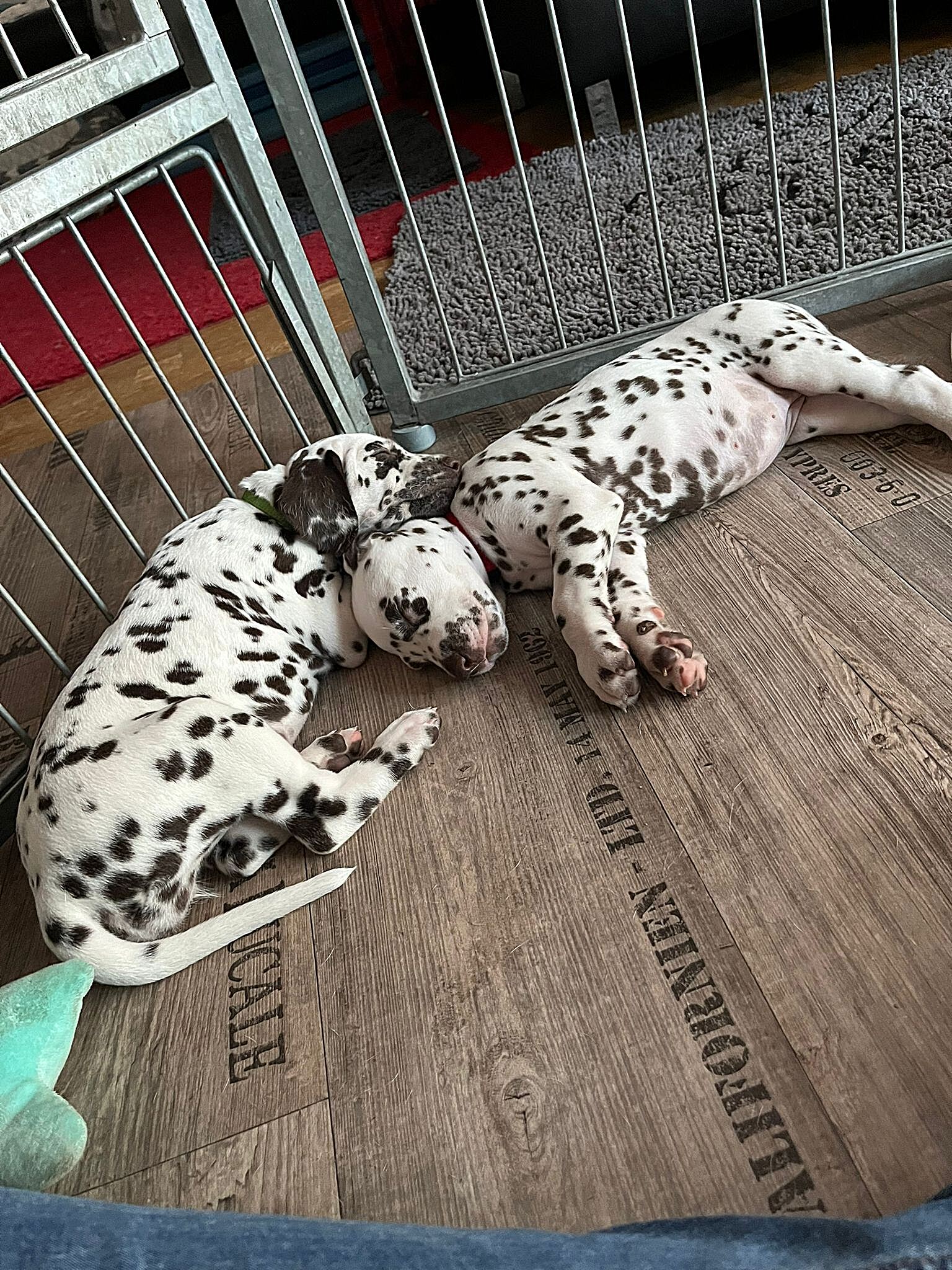 20240812_164500_f4f0d13e-65f3-428b-940c-9d34f584a068